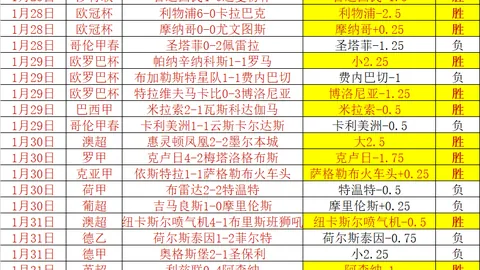迪巴拉：球场上的灵动精灵