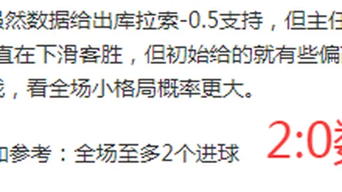 勒沃库森大胜不来梅5-0，维尔茨帽子戏法助力球队赢得德甲荣耀